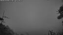 ./images/calvert/fitz-hugh-hecate/20260810/fitz-hugh-hecate20260810_054501M.jpg