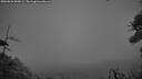 ./images/calvert/fitz-hugh-hecate/20260810/fitz-hugh-hecate20260810_055002M.jpg