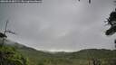 ./images/calvert/fitz-hugh-hecate/20260810/fitz-hugh-hecate20260810_085501M.jpg
