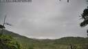 ./images/calvert/fitz-hugh-hecate/20260810/fitz-hugh-hecate20260810_090001M.jpg