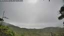 ./images/calvert/fitz-hugh-hecate/20260810/fitz-hugh-hecate20260810_094501M.jpg