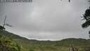 ./images/calvert/fitz-hugh-hecate/20260810/fitz-hugh-hecate20260810_095001M.jpg