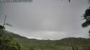 ./images/calvert/fitz-hugh-hecate/20260810/fitz-hugh-hecate20260810_100002M.jpg