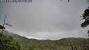 ./images/calvert/fitz-hugh-hecate/20260810/fitz-hugh-hecate20260810_100501M.jpg