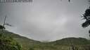 ./images/calvert/fitz-hugh-hecate/20260810/fitz-hugh-hecate20260810_103501M.jpg