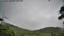 ./images/calvert/fitz-hugh-hecate/20260810/fitz-hugh-hecate20260810_104002M.jpg