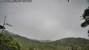 ./images/calvert/fitz-hugh-hecate/20260810/fitz-hugh-hecate20260810_105001M.jpg