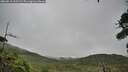 ./images/calvert/fitz-hugh-hecate/20260810/fitz-hugh-hecate20260810_105501M.jpg