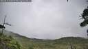 ./images/calvert/fitz-hugh-hecate/20260810/fitz-hugh-hecate20260810_110501M.jpg