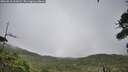 ./images/calvert/fitz-hugh-hecate/20260810/fitz-hugh-hecate20260810_111002M.jpg