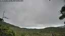 ./images/calvert/fitz-hugh-hecate/20260810/fitz-hugh-hecate20260810_114501M.jpg