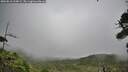 ./images/calvert/fitz-hugh-hecate/20260810/fitz-hugh-hecate20260810_124001M.jpg