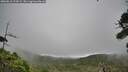 ./images/calvert/fitz-hugh-hecate/20260810/fitz-hugh-hecate20260810_124501M.jpg