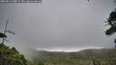 ./images/calvert/fitz-hugh-hecate/20260810/fitz-hugh-hecate20260810_130001M.jpg