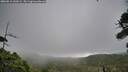 ./images/calvert/fitz-hugh-hecate/20260810/fitz-hugh-hecate20260810_130502M.jpg