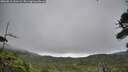 ./images/calvert/fitz-hugh-hecate/20260810/fitz-hugh-hecate20260810_131002M.jpg
