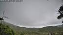 ./images/calvert/fitz-hugh-hecate/20260810/fitz-hugh-hecate20260810_134002M.jpg