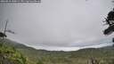 ./images/calvert/fitz-hugh-hecate/20260810/fitz-hugh-hecate20260810_140002M.jpg