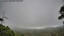 ./images/calvert/fitz-hugh-hecate/20260810/fitz-hugh-hecate20260810_154001M.jpg