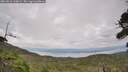 ./images/calvert/fitz-hugh-hecate/20260810/fitz-hugh-hecate20260810_165001M.jpg