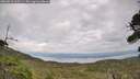 ./images/calvert/fitz-hugh-hecate/20260810/fitz-hugh-hecate20260810_165501M.jpg