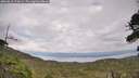 ./images/calvert/fitz-hugh-hecate/20260810/fitz-hugh-hecate20260810_170001M.jpg