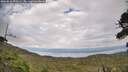 ./images/calvert/fitz-hugh-hecate/20260810/fitz-hugh-hecate20260810_170501M.jpg