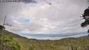 ./images/calvert/fitz-hugh-hecate/20260810/fitz-hugh-hecate20260810_171001M.jpg