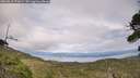 ./images/calvert/fitz-hugh-hecate/20260810/fitz-hugh-hecate20260810_172001M.jpg