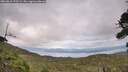 ./images/calvert/fitz-hugh-hecate/20260810/fitz-hugh-hecate20260810_172501M.jpg