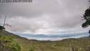 ./images/calvert/fitz-hugh-hecate/20260810/fitz-hugh-hecate20260810_173002M.jpg