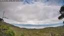 ./images/calvert/fitz-hugh-hecate/20260810/fitz-hugh-hecate20260810_174001M.jpg