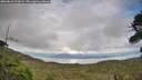 ./images/calvert/fitz-hugh-hecate/20260810/fitz-hugh-hecate20260810_175001M.jpg