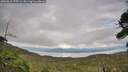 ./images/calvert/fitz-hugh-hecate/20260810/fitz-hugh-hecate20260810_175501M.jpg