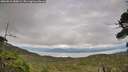./images/calvert/fitz-hugh-hecate/20260810/fitz-hugh-hecate20260810_180001M.jpg
