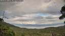 ./images/calvert/fitz-hugh-hecate/20260810/fitz-hugh-hecate20260810_184002M.jpg