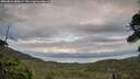 ./images/calvert/fitz-hugh-hecate/20260810/fitz-hugh-hecate20260810_184501M.jpg