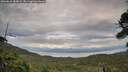 ./images/calvert/fitz-hugh-hecate/20260810/fitz-hugh-hecate20260810_185002M.jpg