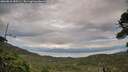 ./images/calvert/fitz-hugh-hecate/20260810/fitz-hugh-hecate20260810_185501M.jpg
