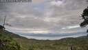 ./images/calvert/fitz-hugh-hecate/20260810/fitz-hugh-hecate20260810_191001M.jpg