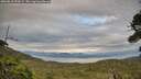 ./images/calvert/fitz-hugh-hecate/20260810/fitz-hugh-hecate20260810_194502M.jpg