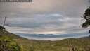./images/calvert/fitz-hugh-hecate/20260810/fitz-hugh-hecate20260810_195001M.jpg
