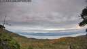 ./images/calvert/fitz-hugh-hecate/20260810/fitz-hugh-hecate20260810_205001M.jpg