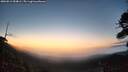 ./images/calvert/fitz-hugh-hecate/20260811/fitz-hugh-hecate20260811_054001M.jpg