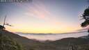 ./images/calvert/fitz-hugh-hecate/20260811/fitz-hugh-hecate20260811_060501M.jpg