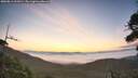 ./images/calvert/fitz-hugh-hecate/20260811/fitz-hugh-hecate20260811_061001M.jpg