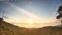 ./images/calvert/fitz-hugh-hecate/20260811/fitz-hugh-hecate20260811_064001M.jpg