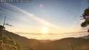 ./images/calvert/fitz-hugh-hecate/20260811/fitz-hugh-hecate20260811_064501M.jpg