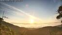 ./images/calvert/fitz-hugh-hecate/20260811/fitz-hugh-hecate20260811_065001M.jpg