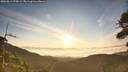 ./images/calvert/fitz-hugh-hecate/20260811/fitz-hugh-hecate20260811_070001M.jpg